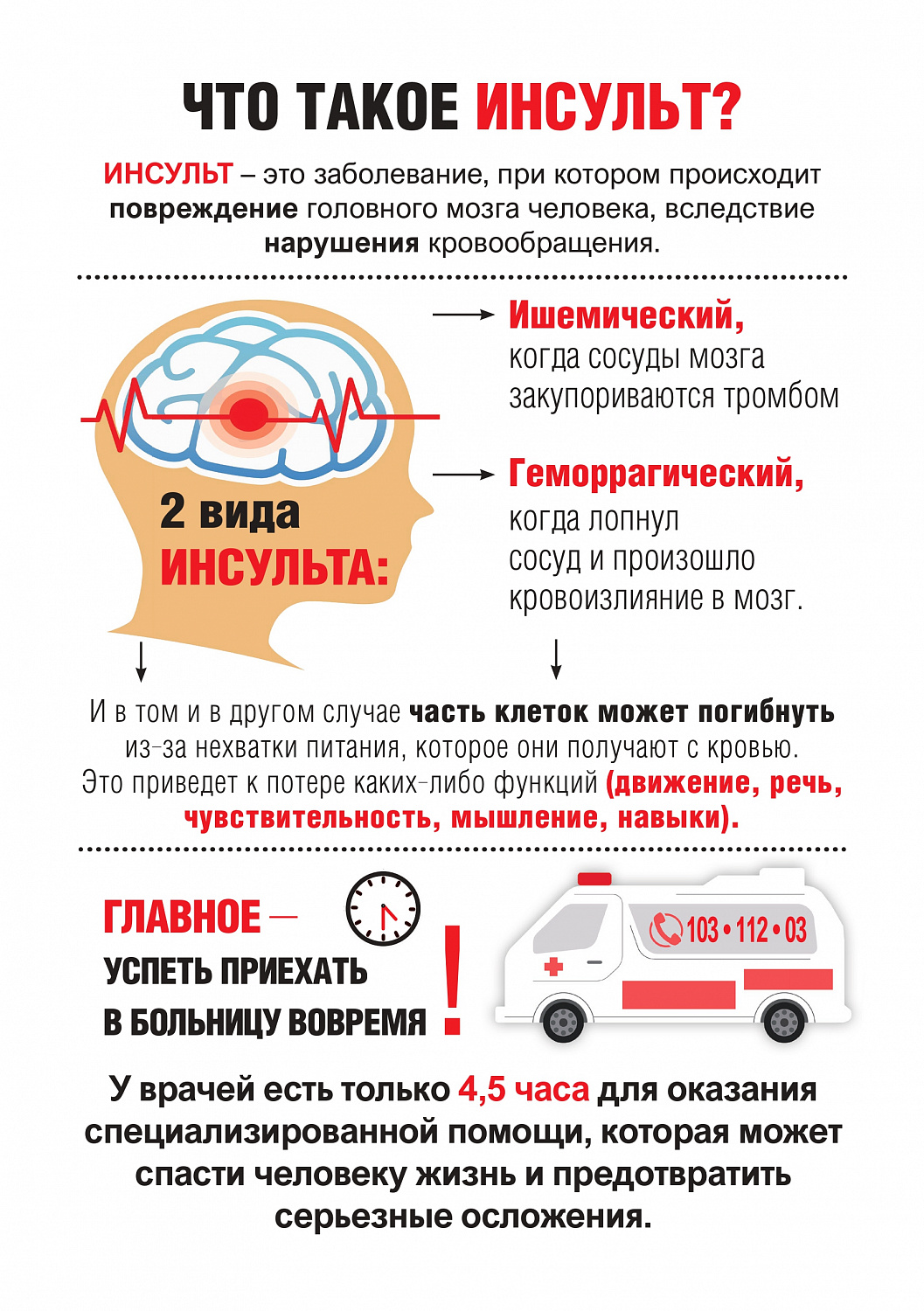 Профилактика сердечно-сосудистых заболеваний